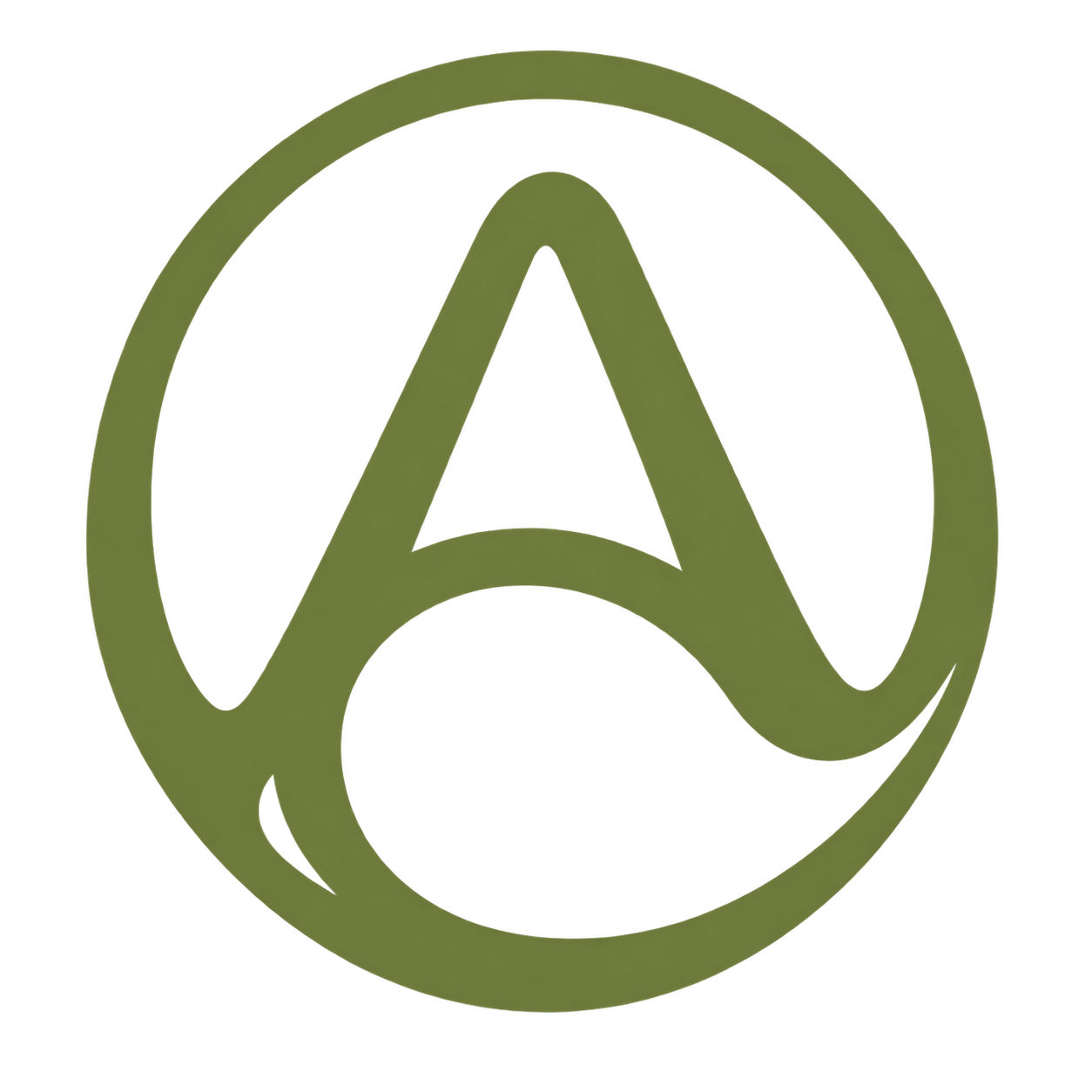 The Architect Programs